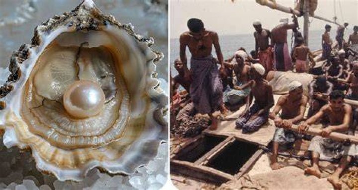 Bahrain and its pearling history Danat