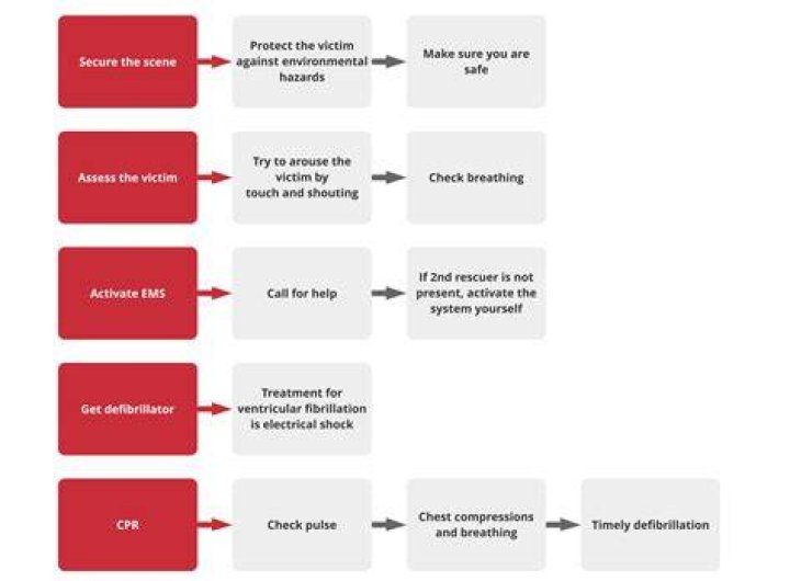 BLS and ACLS Surveys ACLS Medical Training