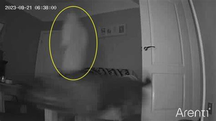 Caught on camera: The video was taken by two men who were driving by the scene in a truck&nbsp;