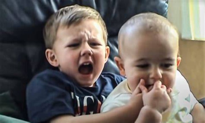 Charlie Bit My Finger Viral Video Sold as an NFT for 760,999 Daily