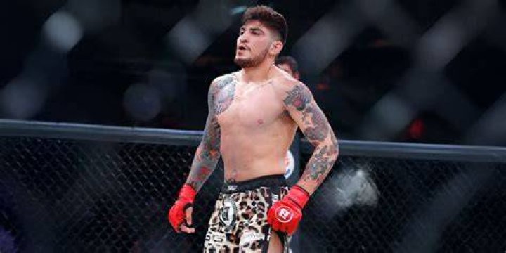 Dillon Danis Multiple Times World MMA Champion Elite Sports