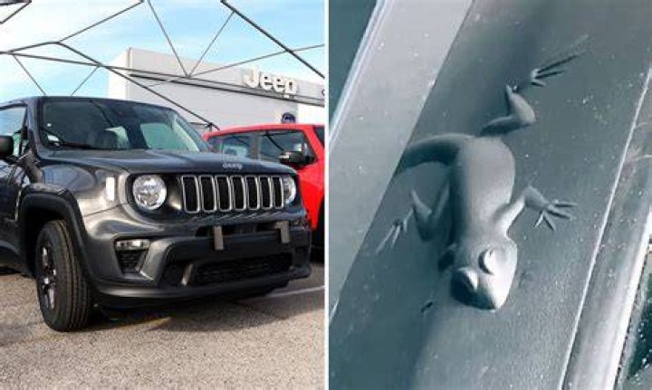 Do All Jeeps Have Hidden Animals? Offroadlounge