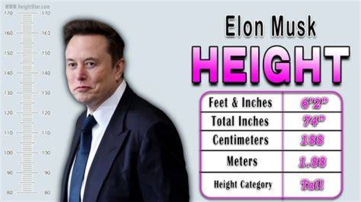 Elon Height Unveiled, Insights Unveiled