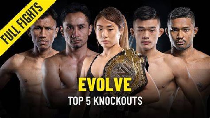 Evolved Fights YouTube