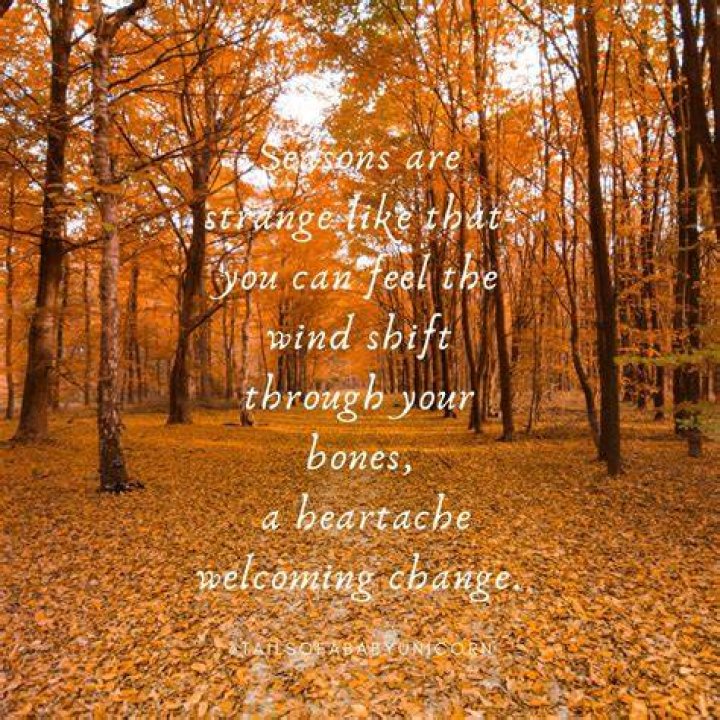 fall quote by poet ka&rsquo;ala, instagram handle aloha kaala