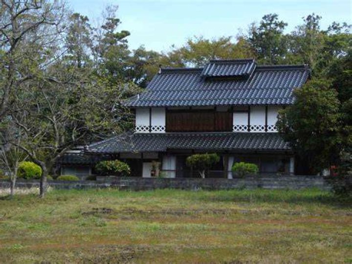 Home Musashi`s