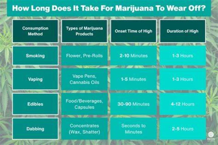 How Long Does It Take? My Lingua Academy