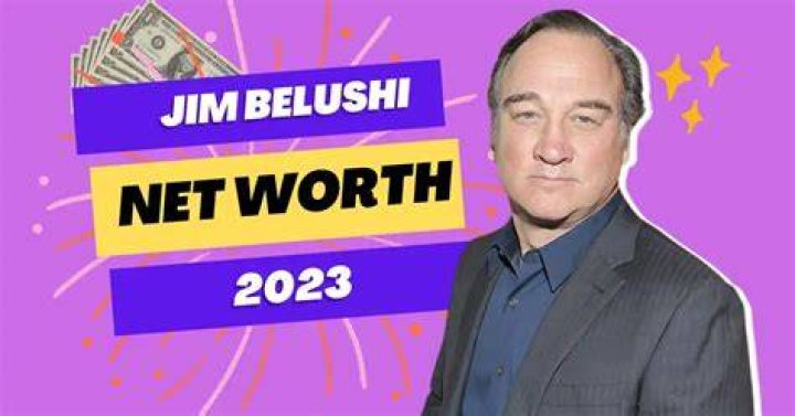 Jim Belushi Net Worth, Wealth, and Annual Salary 2 Rich 2 Famous