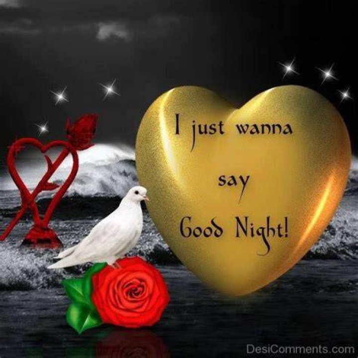 Just wanna to say good night Good Night Pictures