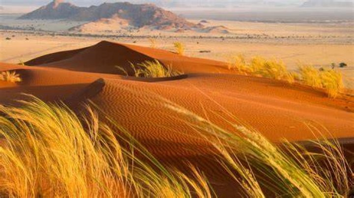 Kalahari Desert , Kalahari Desert Facts and Map, Visit Kalahari Desert