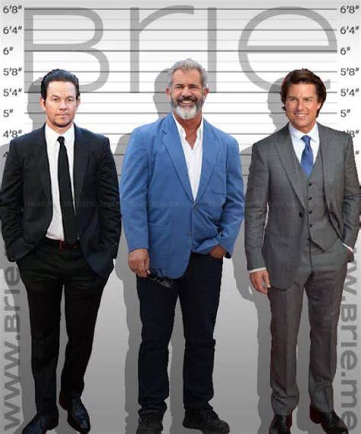 Mel Gibson Height Brie