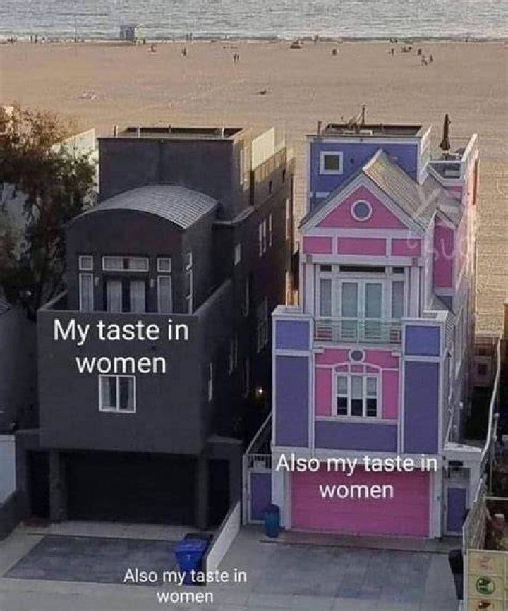 my taste in women Object Labeling Know Your Meme
