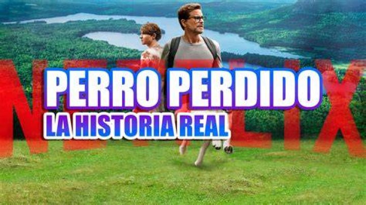 Perro perdido La historia real que inspir&oacute; la emotiva pel&iacute;cula de Netflix