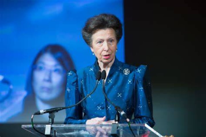 Princess Anne's huge feather obscures Prince Harry's view from the