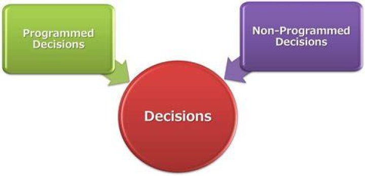 Programmed and NonProgrammed Decision Making Owlgen