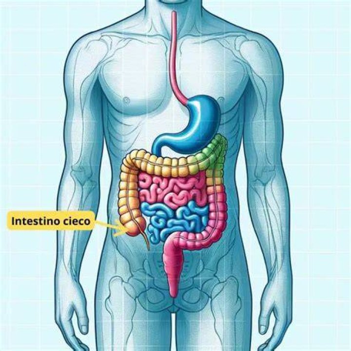 si In altre parole intestino battle net name change Pulire il pavimento