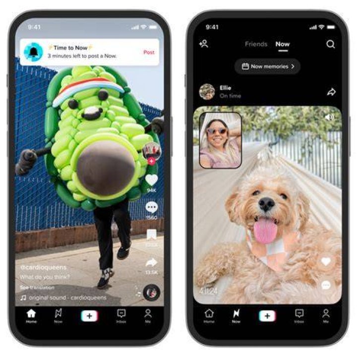 TikTok Now Lets You Make AIGenerated Art With New Filter