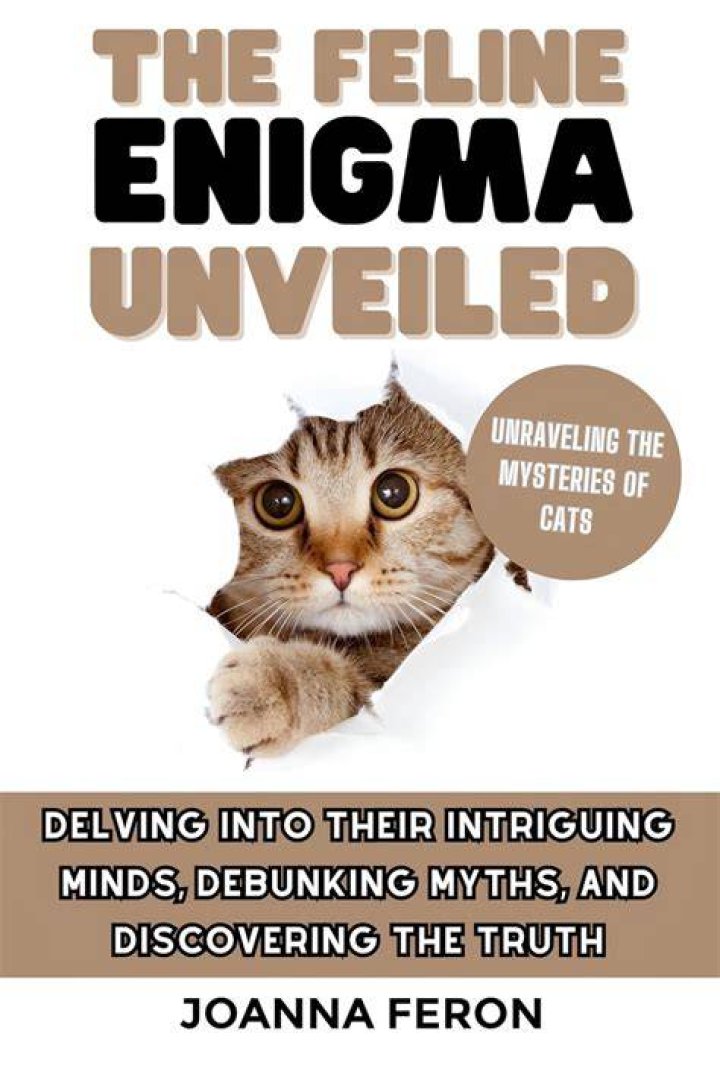 Unraveling The Enigma And Discovering Marital Bliss