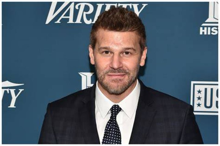 Who is David Boreanaz's exwife Meet Ingrid Quinn Daily Popp